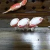 гребешок, креветка, краб, рыба в Владивостоке 6