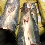 рыба свежемороженая оптом  в Владивостоке