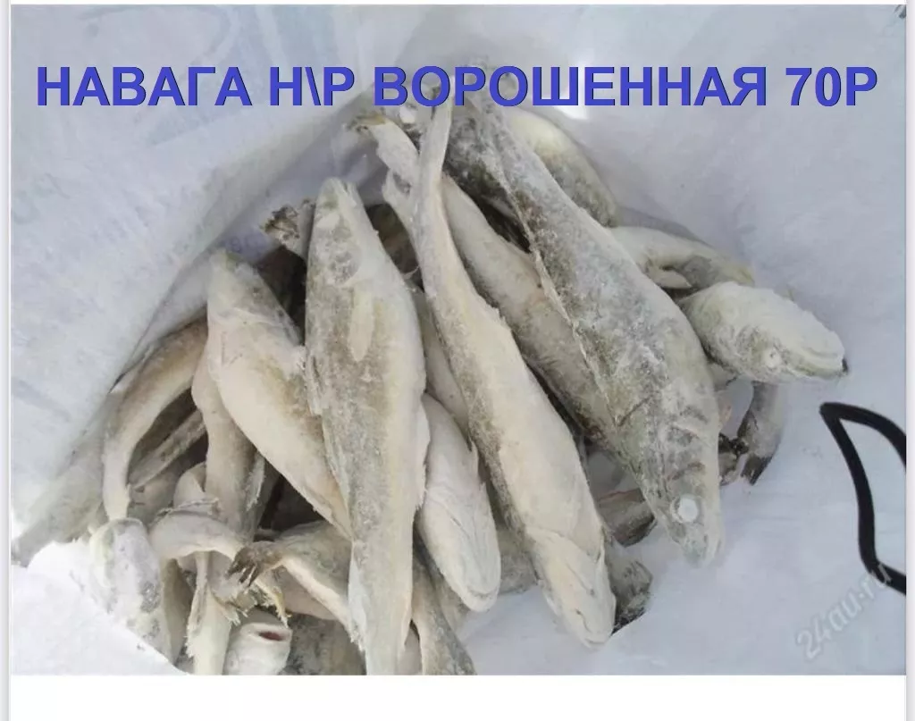 рыба оптом в Владивостоке