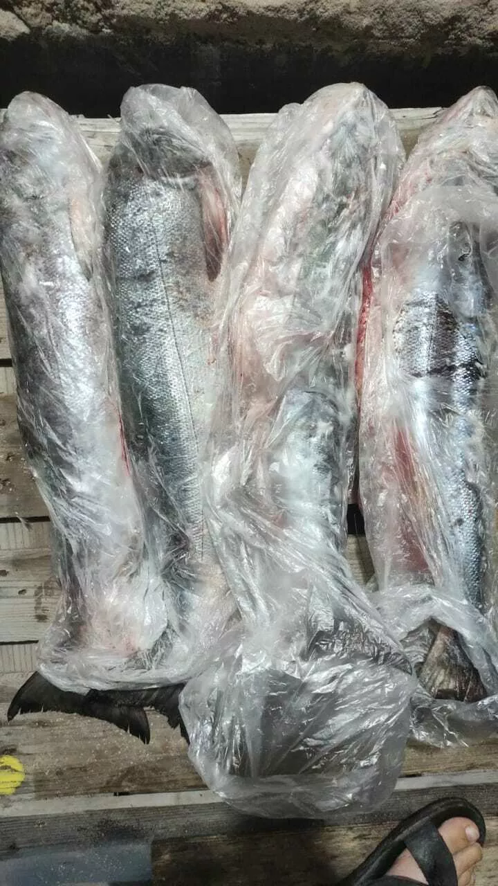 рыбная продукция и переработка в Владивостоке и Приморском крае 5