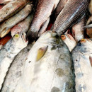 С начала 2021 года из Приморского края экспортировано более 1,3 млн т рыбопродукции в 29 стран мира