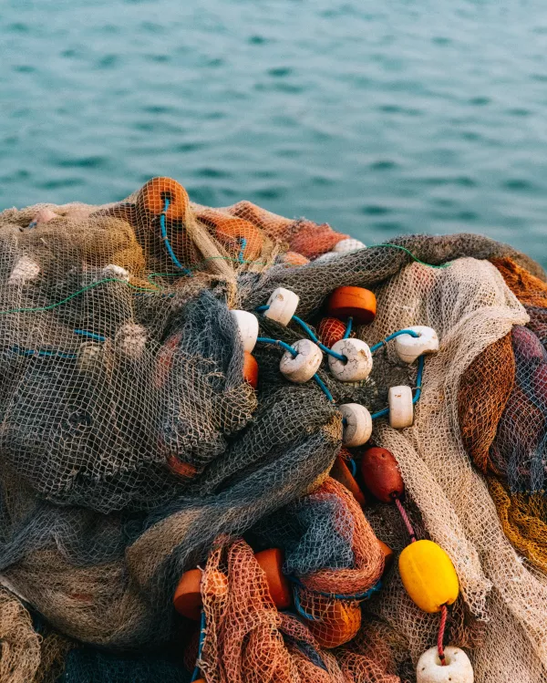 Разрешения на промвылов для дальневосточных рыбопромысловых предприятий оформляются в оперативном режиме