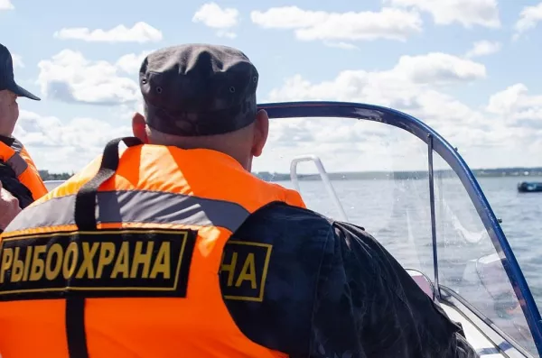Иллюстрация новости