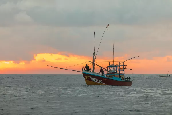 В Приморье растет выявляемость рыбного браконьерства
