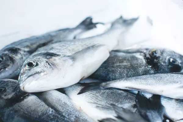 С начала года более чем в два раза увеличился экспорт рыбы и морепродуктов из Приморья и Сахалина в КНР