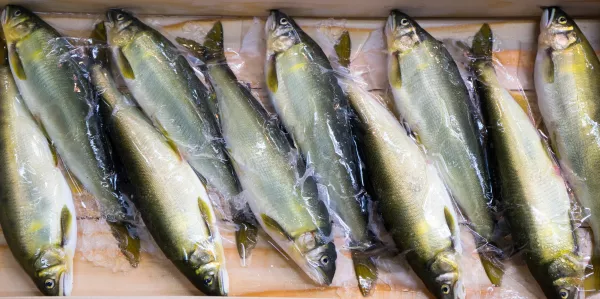 За прошедшую неделю в Приморье и на Сахалине экспорт рыбопродукции увеличился в 1,2 раза