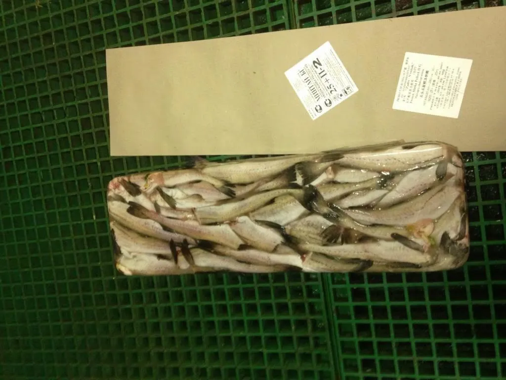 фотография продукта Свежемороженая рыба и морепродукты оптом