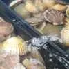 продаем гребешок морской живой в Владивостоке 2