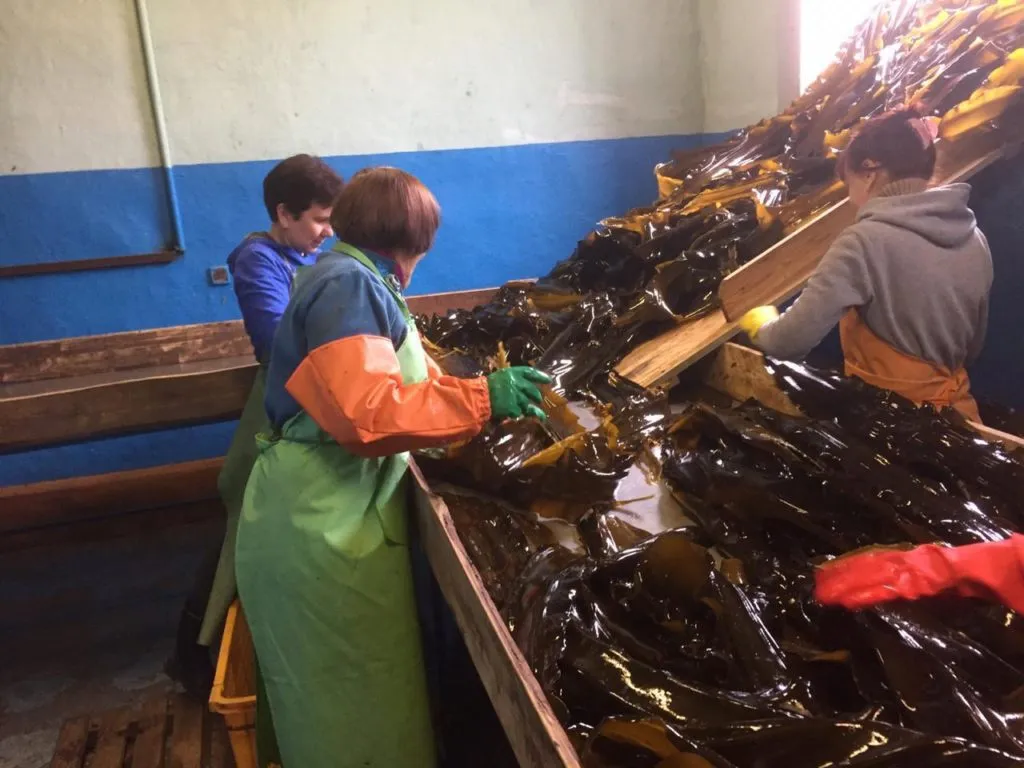 продажа рыбзавода. приморский край в Владивостоке 5