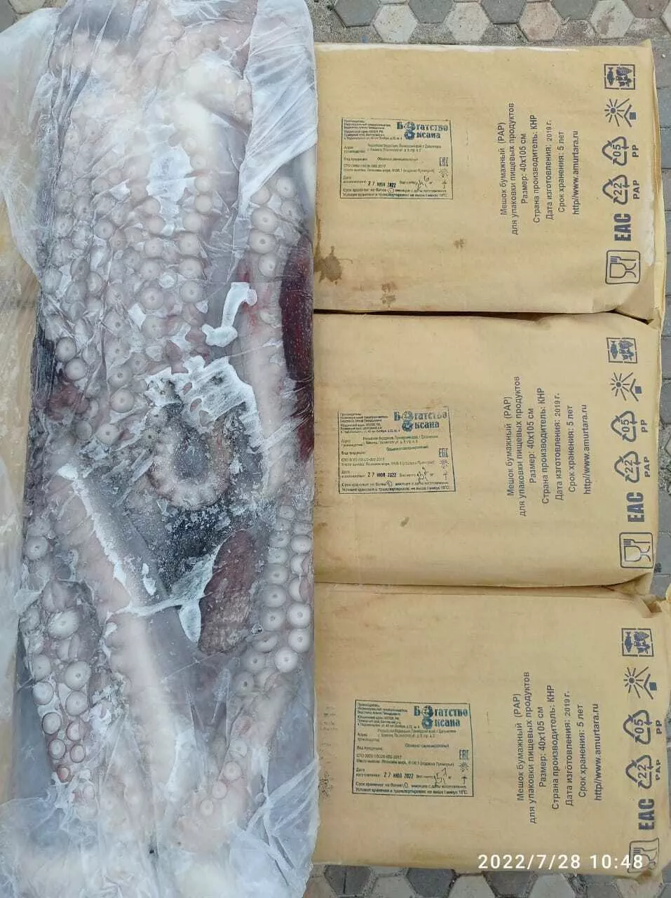 осьминог свежемороженый от производителя в Владивостоке и Приморском крае 3