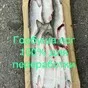 рыба оптом в Владивостоке 8