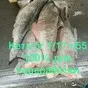 рыба оптом в Владивостоке 7