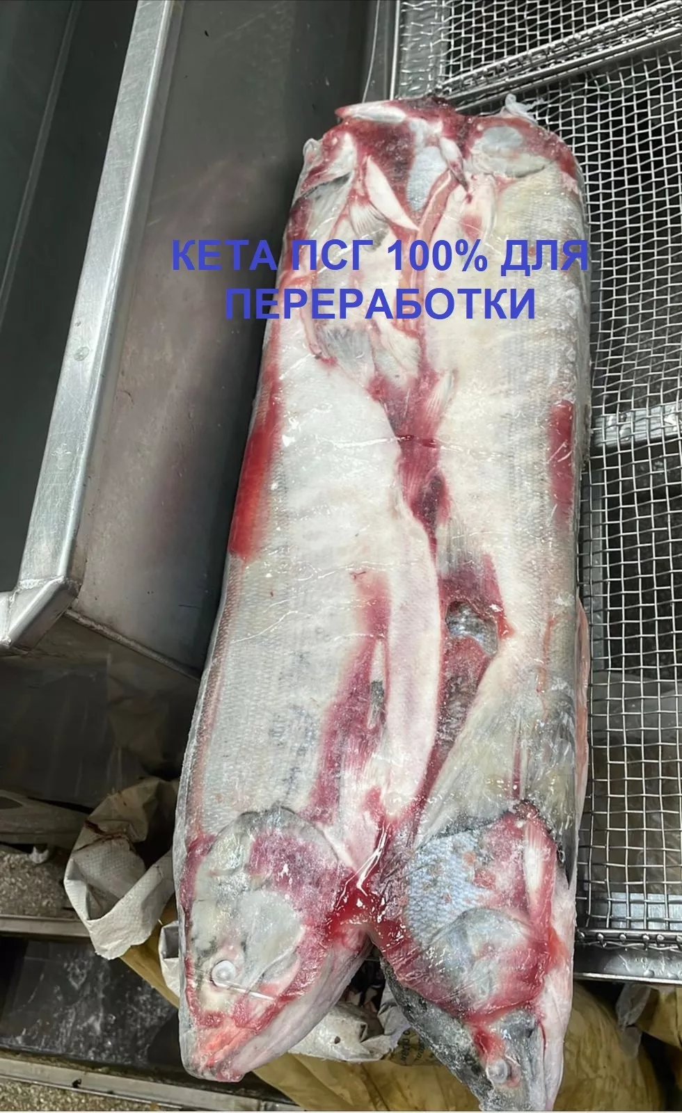 рыба оптом в Владивостоке 4