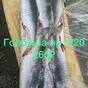 рыба оптом в Владивостоке 5