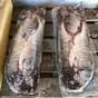 кета псг 1 сорт красное мясо  в Владивостоке и Приморском крае 4