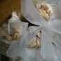  морской гребешок  во владивостоке! в Артем