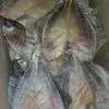 рыба и морепродукты сушено- вяленные в Владивостоке 3