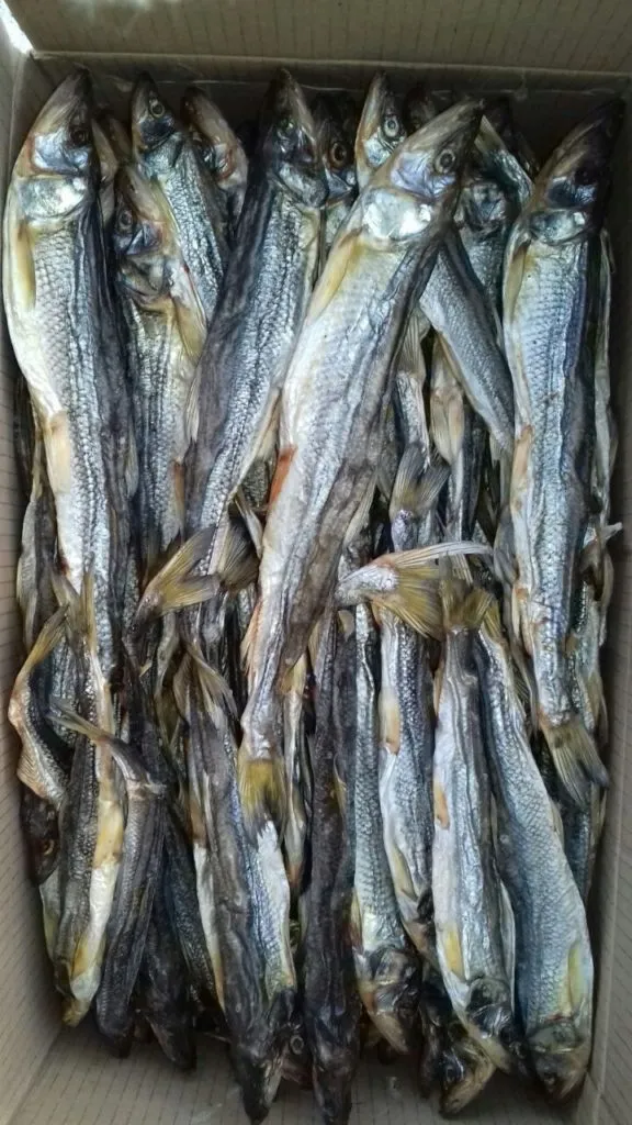 рыба и морепродукты сушено- вяленные в Владивостоке 7